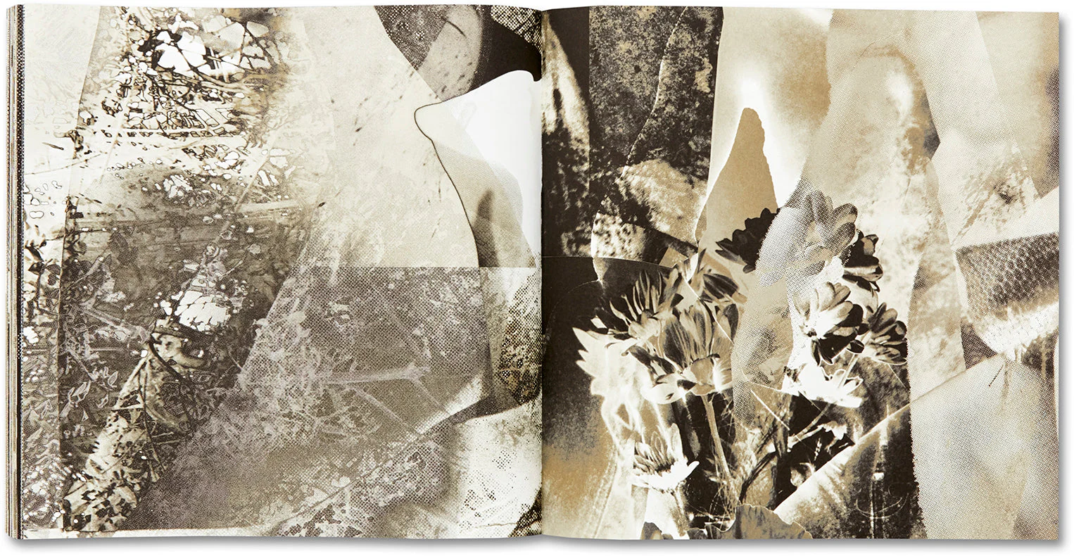 Thumbnail 28